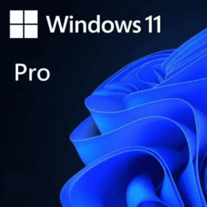 Windows 11 Pro 64 bit COEM